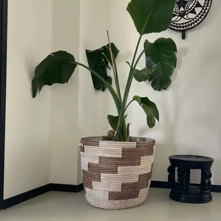 Grote Mand (40cm) - Wit/Bruin