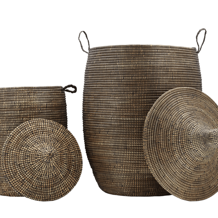 Set grote bruine mand, zijaanzicht