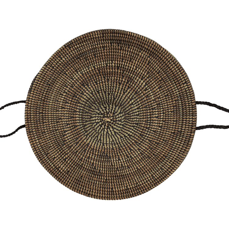 Grote bruine mand, bovenaanzicht