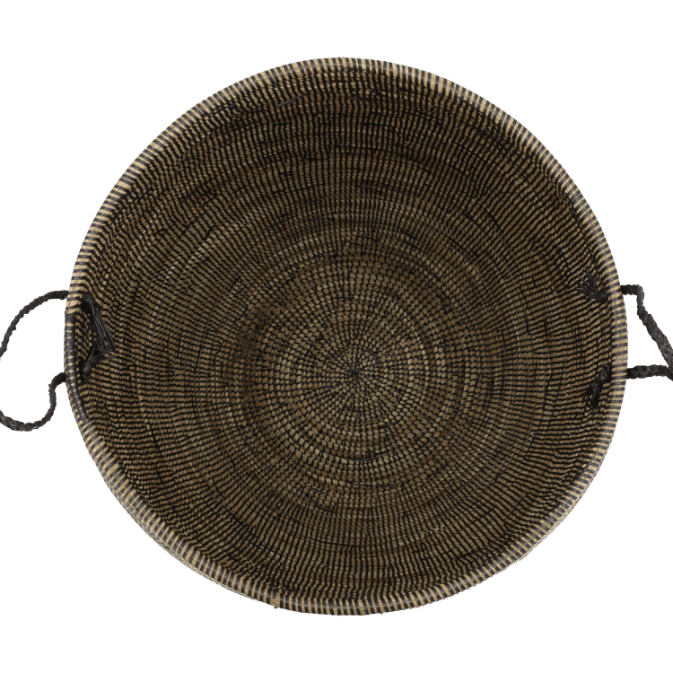 Grote bruine mand, bovenaanzicht